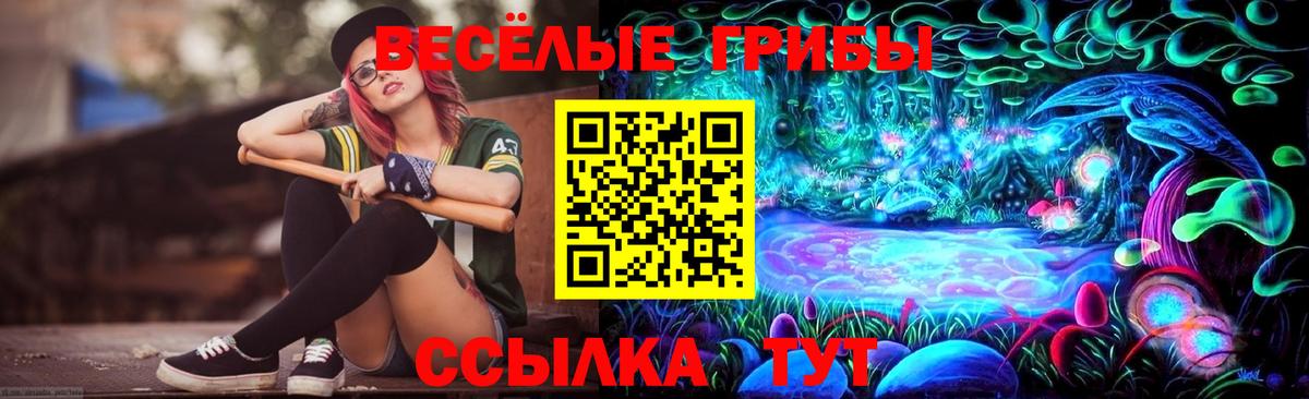 Псилоцибиновые грибы Psilocybine cubensis  Вход с VPN  Нижнеудинск  Псилоцибиновые грибы Psilocybe 