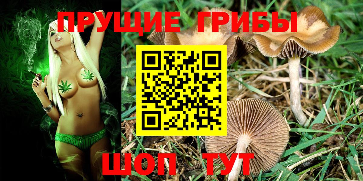 Галлюциногенные грибы ЛСД Нижнеудинск